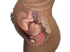 Gebeliğin 3. trimesterinde uterus tonuyla ne yapılmalı?