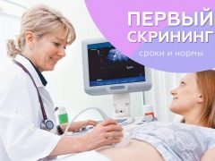 الفحص الأول أثناء الحمل: التوقيت والمعايير