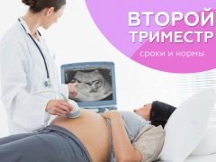 Втори скрининг по време на бременност: дати и норми на показателите