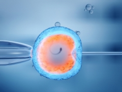 Sekiranya anda membuat keputusan tentang IVF: bagaimana untuk meningkatkan kualiti telur dan meningkatkan peluang konsepsi?