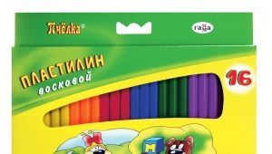 Plasticine Bee: mga tampok at benepisyo