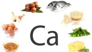 Продукти за бременни жени с високо съдържание на калций