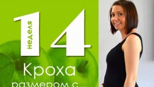 14 semanas de gravidez: o que acontece com o feto e a futura mãe?