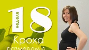 18 semanas de gravidez: o que acontece com o feto e a futura mãe?