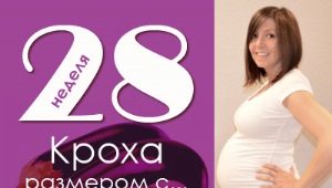 28 semanas de gravidez: o que acontece com o feto e a futura mãe?