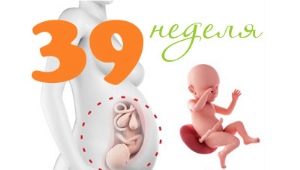 Fötus in der 39. Schwangerschaftswoche: Normen und Merkmale
