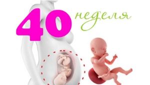 Fötus in der 40. Schwangerschaftswoche: Normen und Eigenschaften