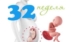 Fötale Entwicklung nach 32 Wochen Schwangerschaft