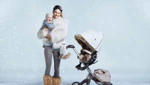 Carrinhos para o inverno: uma visão geral dos modelos mais populares