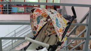 Carrinhos de bebê felizes: descrição e critérios de seleção, vantagens e desvantagens