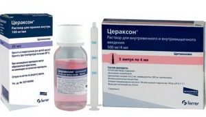 Ceraxon للأطفال: تعليمات للاستخدام