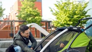 عربات Thule: خط المنتج ونصائح للاختيار