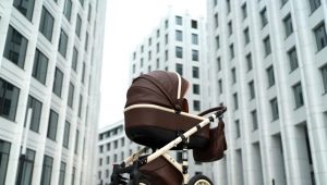 عربات Vikalex: نماذج ونصائح للاختيار