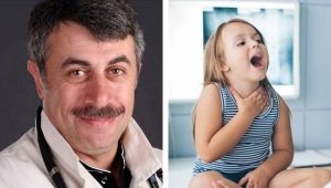 Si Dr. Komarovsky tungkol sa maling kroup sa mga bata