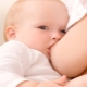 Zusammensetzung, Fettgehalt und Temperatur der Muttermilch