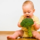 Broccoli food: ano ang dapat isaalang-alang at kung paano magluto?