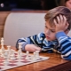 Wie wähle ich ein Schach für ein Kind aus?