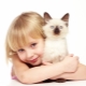 ما هو علاج felinotherapy ، فوائده للأطفال