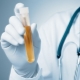 Erythrozyten im Urin während der Schwangerschaft und die Ursachen für Blut im Urin