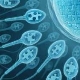 Die Normen des Spermogramms, Interpretation von Indikatoren und Ursachen für Abweichungen
