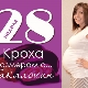 28 أسبوعًا من الحمل: ماذا يحدث للجنين والأم الحامل؟