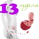 Gebeliğin 13. haftasında fetal gelişim