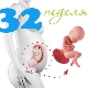 Gewicht und andere Parameter des Fötus bei der 32. Schwangerschaftswoche