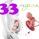 Gebeliğin 33. haftasında fetüsün ağırlığı ve diğer parametreleri
