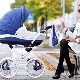 Модни колички: как да изберем стилен и практичен модел?
