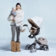 Carrinhos para o inverno: uma visão geral dos modelos mais populares
