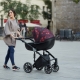 Anex-Kinderwagen: Typen und Auswahlhinweise