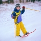 Skis kanak-kanak: variasi dan kriteria pemilihan