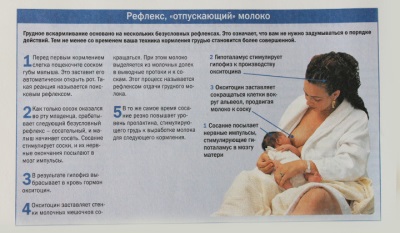 Рефлекс на кърмата