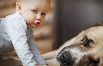 Kind mit einem Hund
