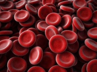 Rote Blutkörperchen