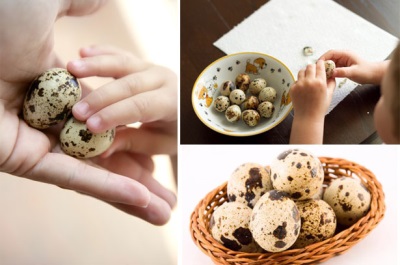 Linisin ng baby quail eggs
