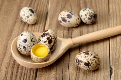 Ovos de codorna