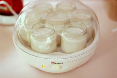 Yogurt in yogurt maker