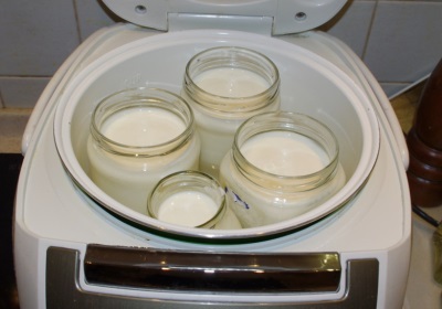 Yogurt in a multivariate