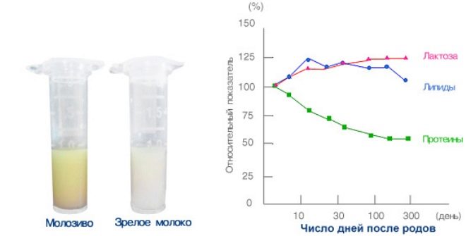 Colostrum at gatas ng dibdib